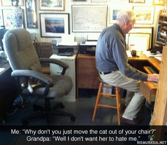 Kissaa ei voi siirtää