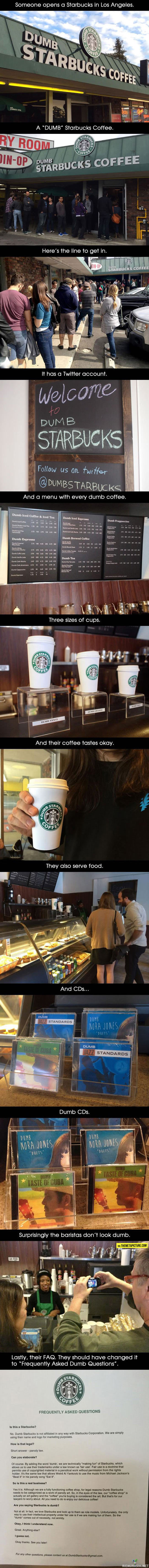 Dumb Starbucks