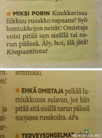Jänisongelma Porissa - Alempi ilmoitus seuraavassa lehdessä tms.
