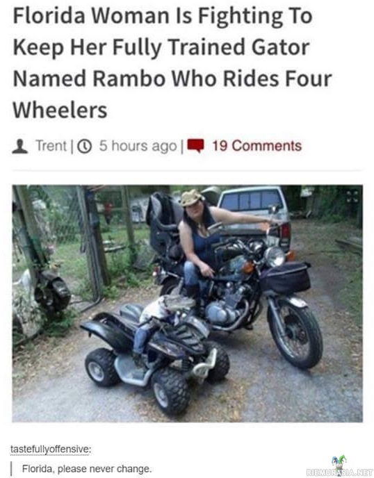 Rambo mönkijällä