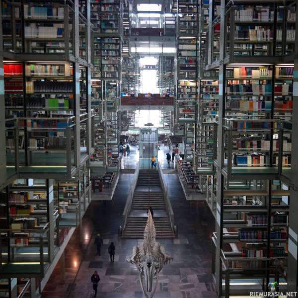 Meksikolainen kirjasto