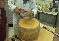 Mies leikkaa juustoa