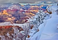 Grand Canyon lumisena