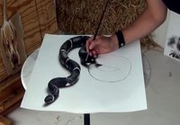3D käärme