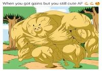 Pikachu steroideissa