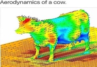Lehmän aerodynamiikka