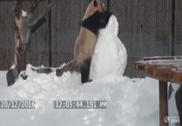 Pandan lumiukko