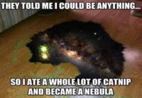 Nebula kissa