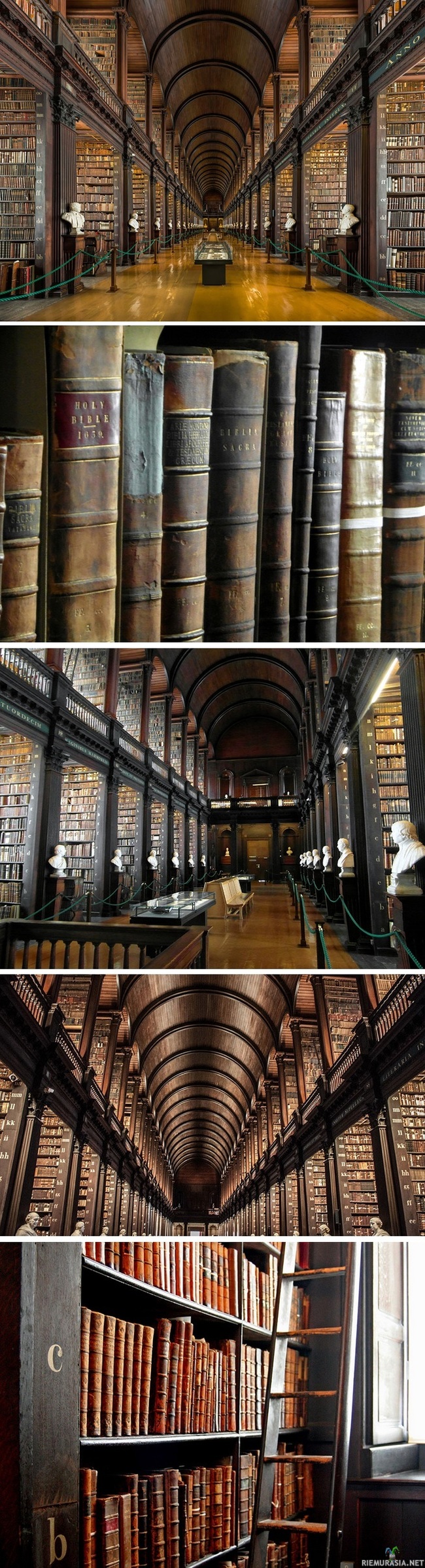 300 vuotta vanha kirjasto Dublinissa