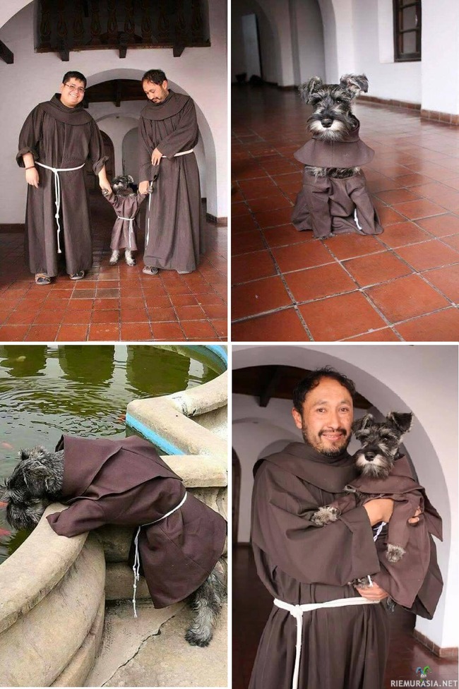 Brasilialaiset munkit adoptoivat koiran