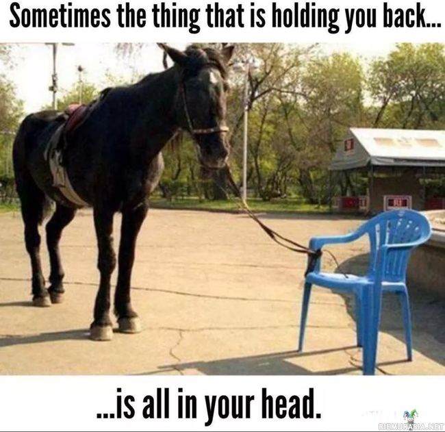 Sometimes the thing that is holding you back.. - Is all in your head.