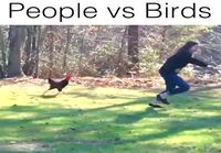 Ihmiset vastaan linnut 