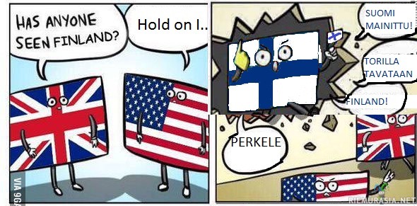 Onko kukaan nähnyt suomea?