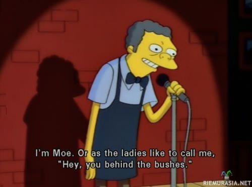 Hei olen Moe