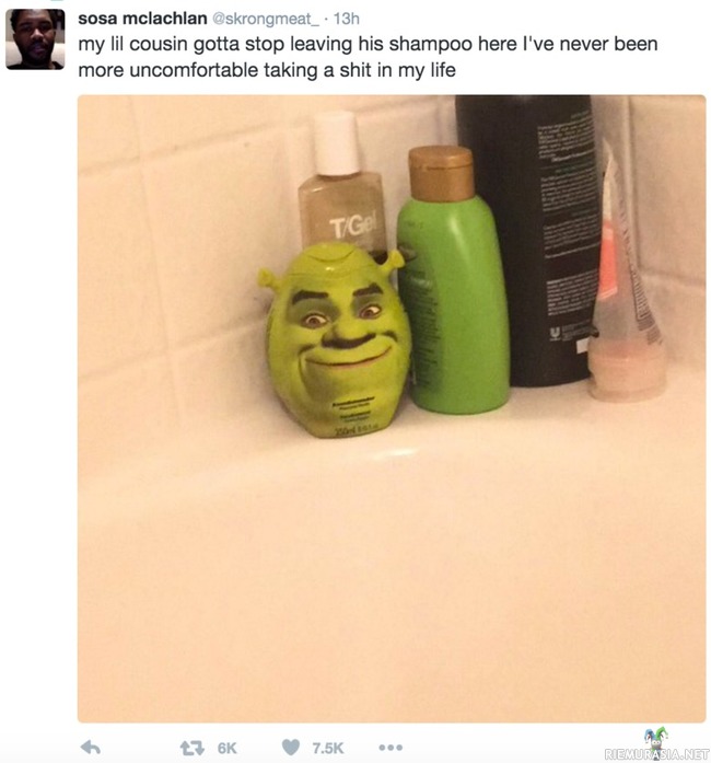 Shampoo - Shrek is love, Shrek is life 