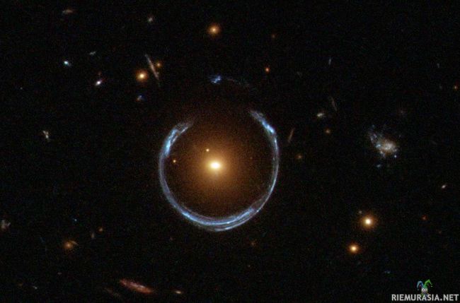 Cosmic Horseshoe / Einstein&#039;s ring - Einsteinin renkaaksi kutsutaan ilmiötä, jossa massiivinen galaksi taivuttaa toisen, maasta katsottuna kohtisuoraan takanaan olevan galaksin valoa niin, että taustagalaksi &quot;heijastuu&quot; yhtaikaisesti etualan galaksin jokaiselta puolelta. Efekti saattaa olla kokonainen tai lähes täydellinen kuten kuvassa; heijastuma saattaa myös ilmetä osittaisina viiruina tai pallomaisina röykkiöinä eri puolilla lähempänä olevaa galaksia.

Kuvan galaksia ja sen taivuttamaa valoa kutsutaan epävirallisesti Kosmiseksi Hevosenkengäksi. Etualan galaksi on jättimäinen, sata kertaa Linnunrataa massiivisempi kirkas punainen ellipsigalaksi n. 5,2 miljoonan valovuoden päässä. Taustalla lähes tuplasti kauempana olevan linssigalaksin selkeä taittuminen onkin pitkälti etugalaksin valtavasta massasta johtuvan painovoiman ansiota.