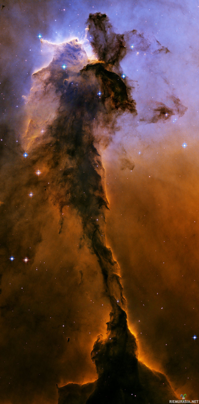 Eagle Nebula - Yksi kotkasumun lukuisista tummista kaasupilareista. Kotkasumu sijaitsee Käärmeen tähdistössä n. 7000 valovuoden päässä. Myös kuuluisa Luomisen Pilarit-kuvasarja (Pillars of Creation https://upload.wikimedia.org/wikipedia/commons/thumb/b/b2/Eagle_nebula_pillars.jpg/1024px-Eagle_nebula_pillars.jpg) sijaitsee Kotkasumussa; se onkin yksi tunnetuimpia uusien tähtien syntyalueita. Tämä veijari on yli tuplasti &quot;korkeampi&quot; kuin kuuluisammat pilaritoverinsa, n. 9,5 valovuoden tai 90 triljoonan kilometrin korkuinen.

Tähtisumujen tummat pilarimaiset muodostelmat syntyvät kylmästä kaasusta, joka näkyy mustana tai tummempana ympäröivän sumun kuumana hehkuvaa ionisoitunutta kaasua vasten. Lukuisten tähtien &quot;puhaltama&quot; kuuma kaasu saa kylmemmän kaasun pakkautumaan yhä tiiviimpään kasaan, mikä luo loistavan ympäristön uusien tähtien kehittymiselle.