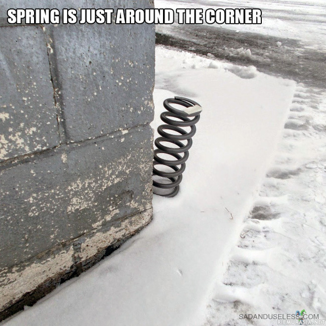 Good news! - Spring is just around the corner!