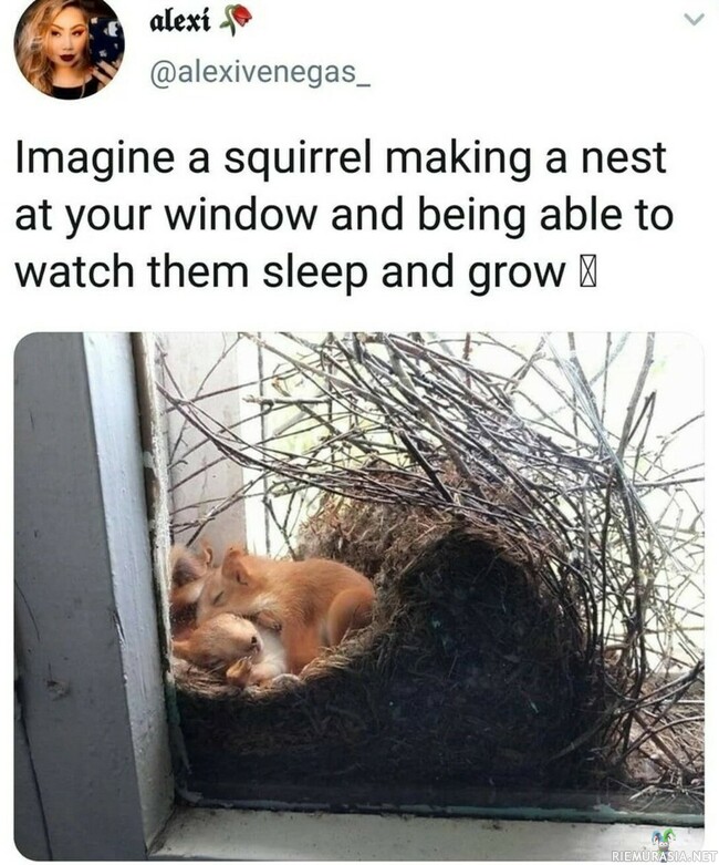 Oravan omakotitalo