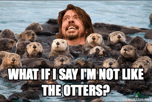 What if I say I&#039;m not like the otters