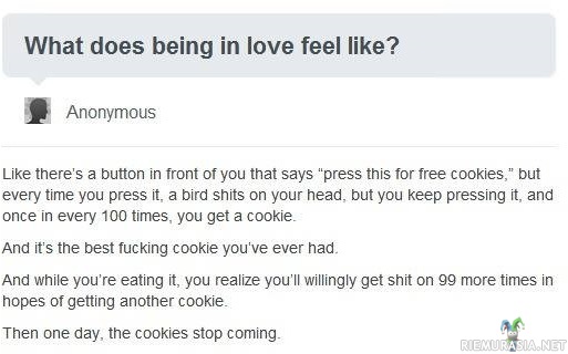 What does being in love feel like?