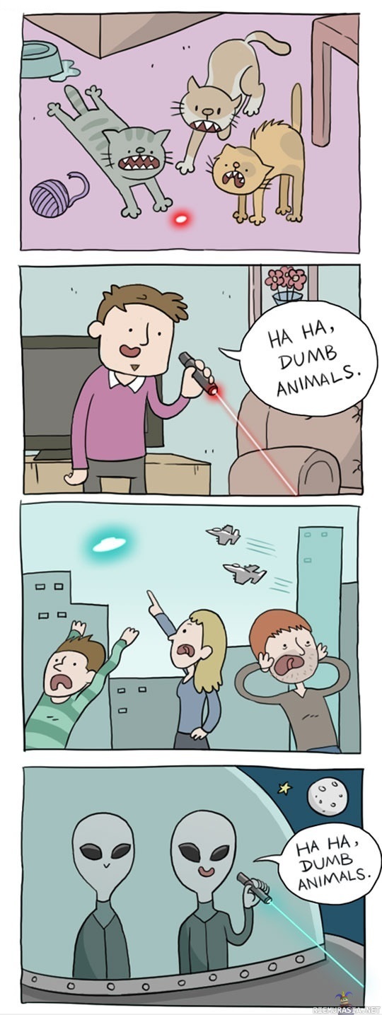 Tyhmät eläimet