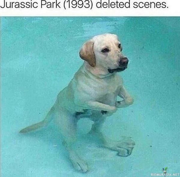 Jurassic bark