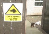 Varokaa koiraa!