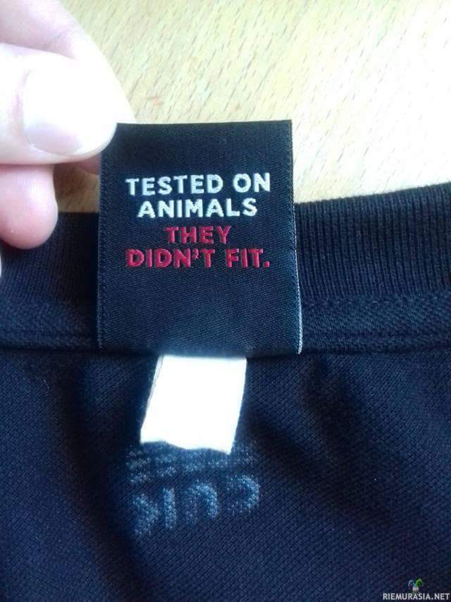 Testattu eläimillä