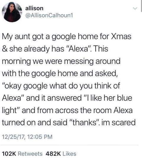 Google Home & Alexa