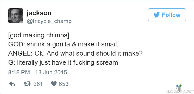 Kun luoja loi simpanssit