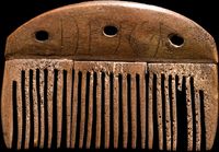 Maailman vanhin Vimosen saarelta Tanskasta löydetty riimukirjoitus 160-luvulta