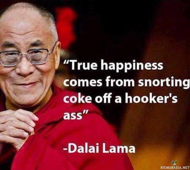 Dalai Laman viisaita sanoja - Dalai Lama tietää mitä todellinen onni on