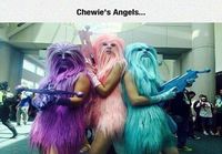 Chewies angels