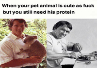 Arnold Schwarzenegger ja söpöt eläimet