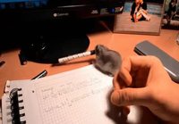 Hamsteri keskeyttää opiskelun