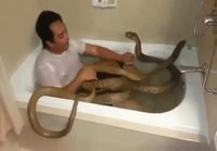 Käärmeiden kanssa kylvyssä