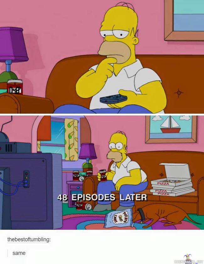 Netflix lyhyesti - Homeriin voi samaistua