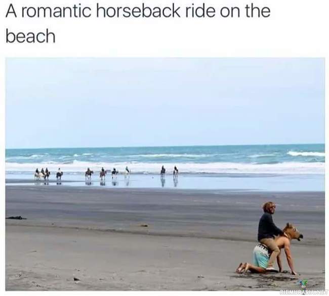 Ratsastusta rannalla  - Romanttinen hetki uskollisen ratsun kanssa 