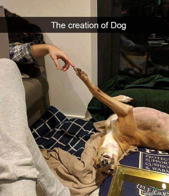 The creation of dog  - Koiran ja omistajan versiointi tunnetusta taideteoksesta 