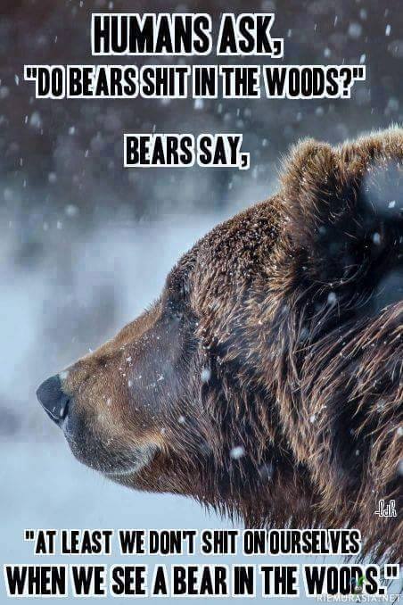 Kun ihmiset kysyvät että kakkivatko karhut metsään..