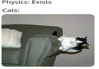 Kissat vs fysiikka