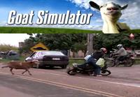 Goat simulator in real life