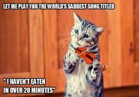 Kissa soittaa surullisimman biisin ikinä