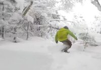 Lumilautailua lumisessa metsässä