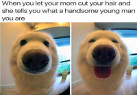 Kun äiti leikkaa sun tukan