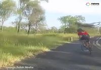 Kenguru ei tykkää pyöräilijästä
