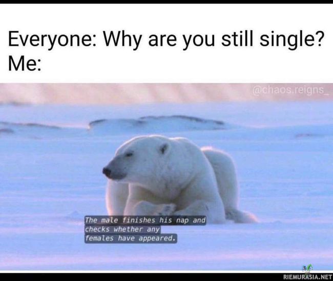 Why are you still single?