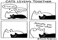 Kissojen elämää