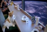 Kissa avaruuskahvilassa